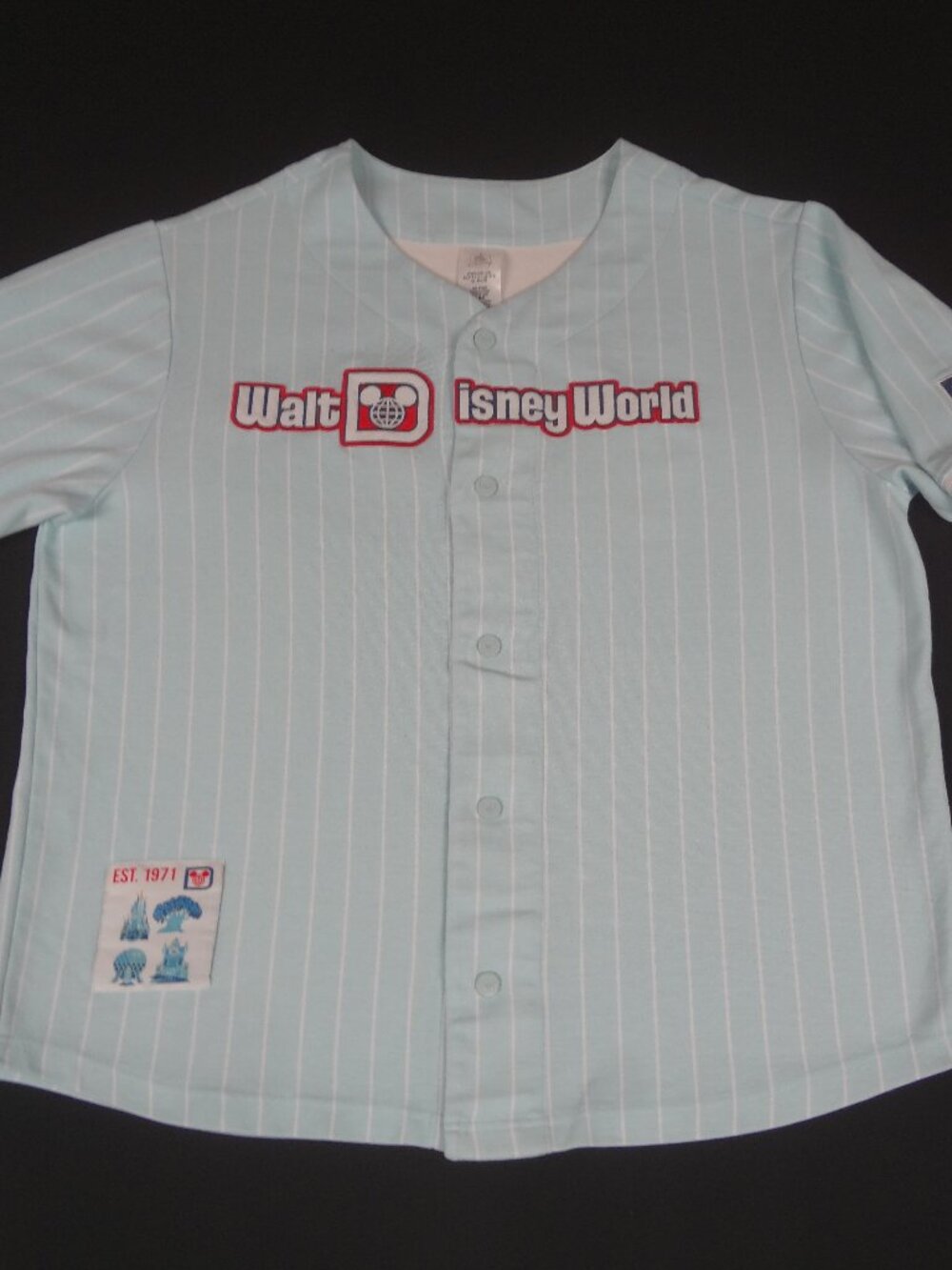 WALT DISNEY WORLD 4 PARKS - BLUE BUTTON UP JERSEY HAPPIEST PLACE SZ LARGE L576